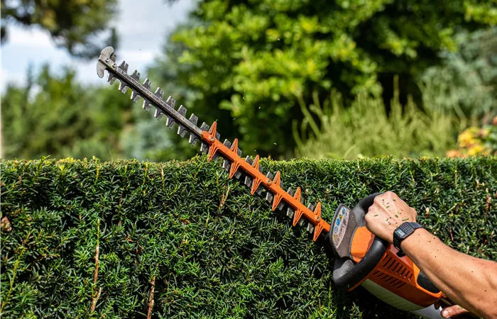 Gärtner / Facharbeiter Gärtner / Facharbeiter