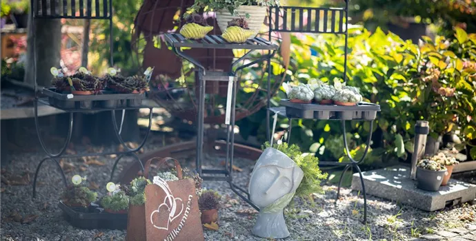 37 - EOSR1499.jpg 37 - EOSR1499.jpg